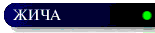 Button1-ZICA copy.gif (1596 bytes)