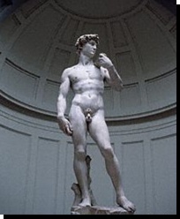 david