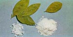 cocaine02.jpg (6666 bytes)