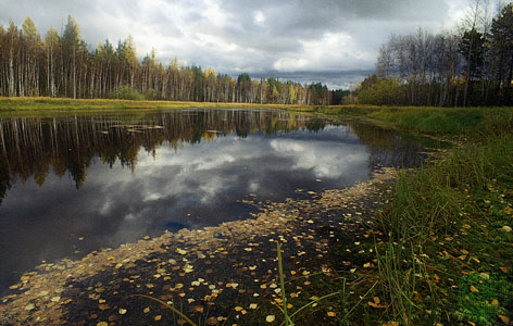 jezero u tajgi na sjeveru sibirske ravnice.jpg (53570 bytes)