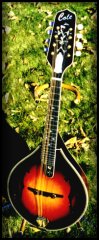 mandolina