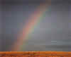 rainbow.jpg (20973 bytes)