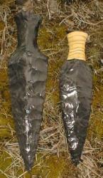 prim 4.jpg (11661 bytes)