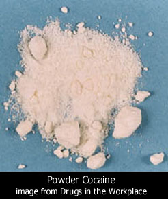 cocaine1.jpg (27018 bytes)