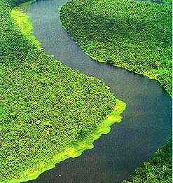 2amazon.jpg (16762 bytes)