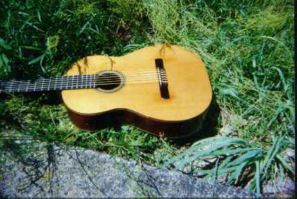 2guitar1.jpg (22490 bytes)