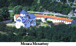 moracas.gif (34986 bytes)