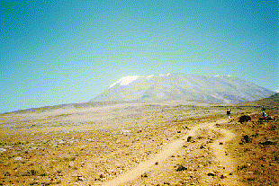natural kilimanjaro.gif (31938 bytes)