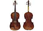 viola