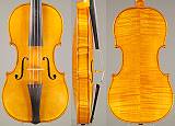 violina
