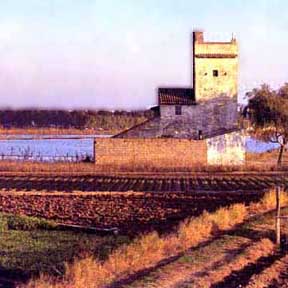 val3.jpg (21474 bytes)