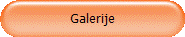 Galerije