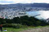 Wellington_from_Mount_Victoria.jpg (51762 bytes)