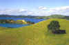 nzlsphoto.jpg (23487 bytes)