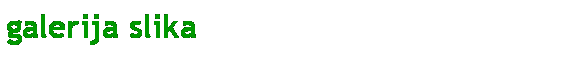 Text Box: galerija slika
