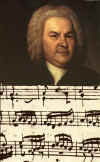 Bach+mus.jpg (18312 bytes)