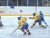 hockey-action.gif (85425 bytes)