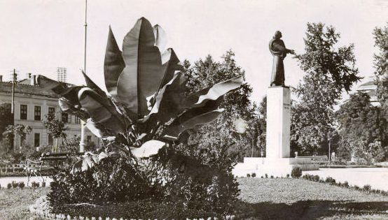 Spomenik Petru Kočiću
