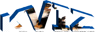 KVIZ