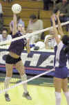 Volleyball-3.jpg (27933 bytes)