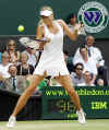 Maria Sharapova.jpg (66178 bytes)