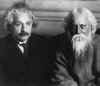 tagore-einstein.jpg (52845 bytes)