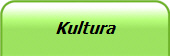 Kultura