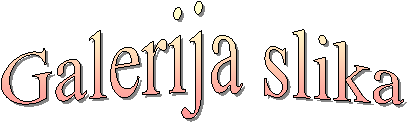 Galerija slika