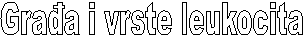 Graa i vrste leukocita