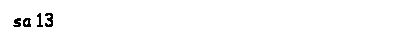 Text Box: sa 13
