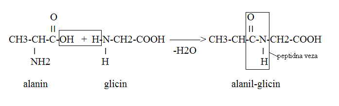 Ch ch ch3cooh. Ch3 ch2 Ch nh2 Cooh аминокислота. Ch2nh2cooh аланин. Ch3 Ch nh2 Cooh название. Ch3 ch2 NH ch3 название.