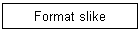 format slike