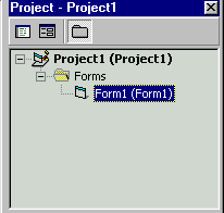 Projektni prozor (eng. Project Explorer Window)