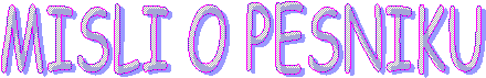 MISLI O PESNIKU